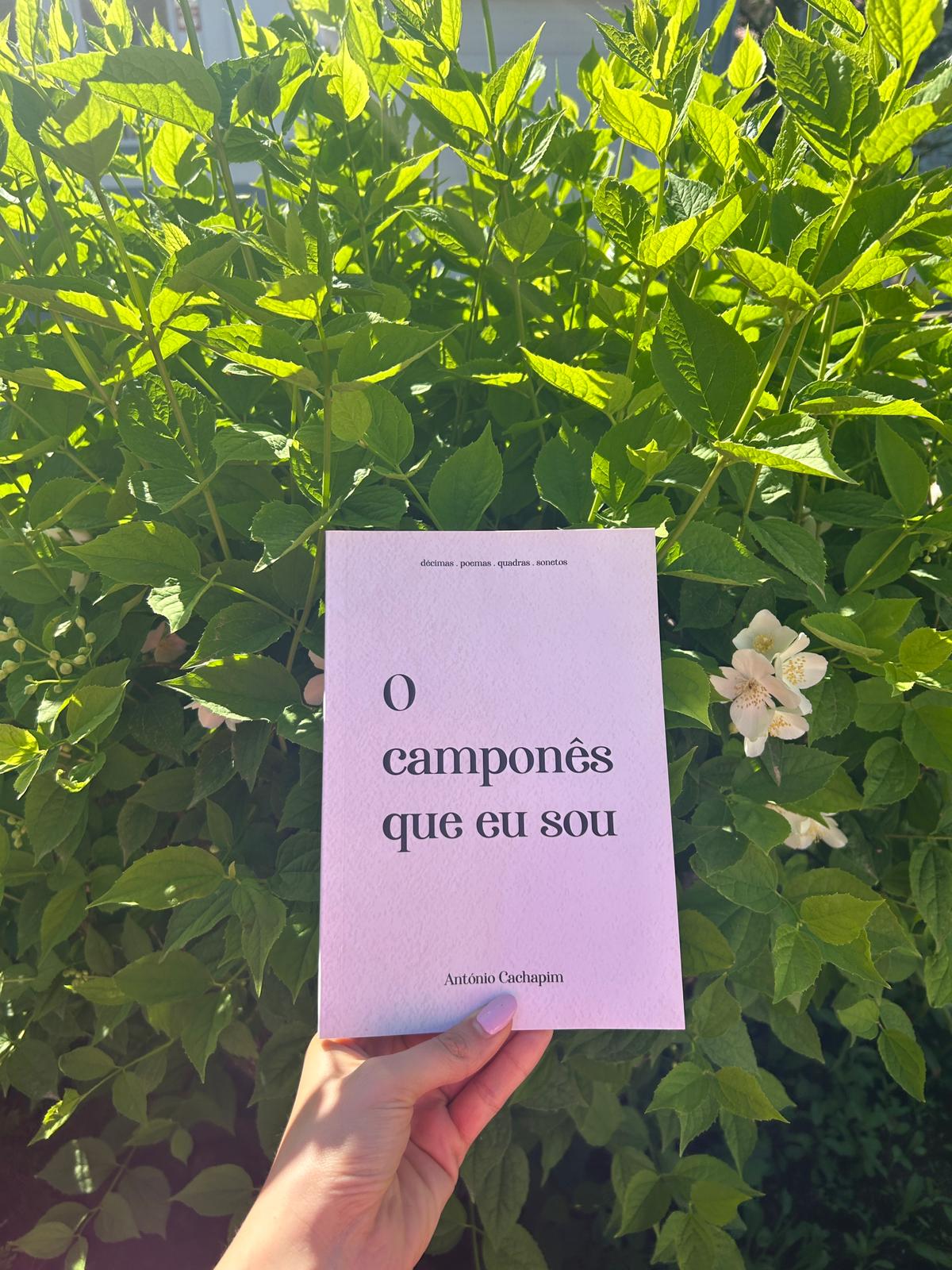 Capa de um livro de fundo branco ou muito claro, em formato vertical, em frente a uma planta cheia de folhas verdes bem iluminadas pelo sol. O texto na parte superior da capa, em letras pequenas, diz: “décimas, poemas, quadras, sonetos” No centro da capa, em letras grandes, está escrito: “O camponês que eu sou” Na parte inferior da capa, em letras menores, está escrito: “António Cachapim”